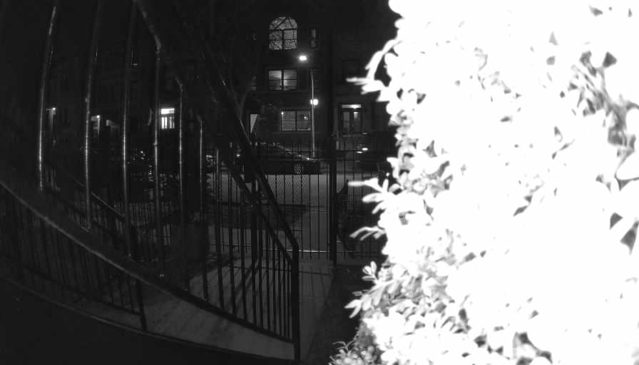 Reolink Camera Two_01_Reolink Home Hub One_20250301191653.jpg